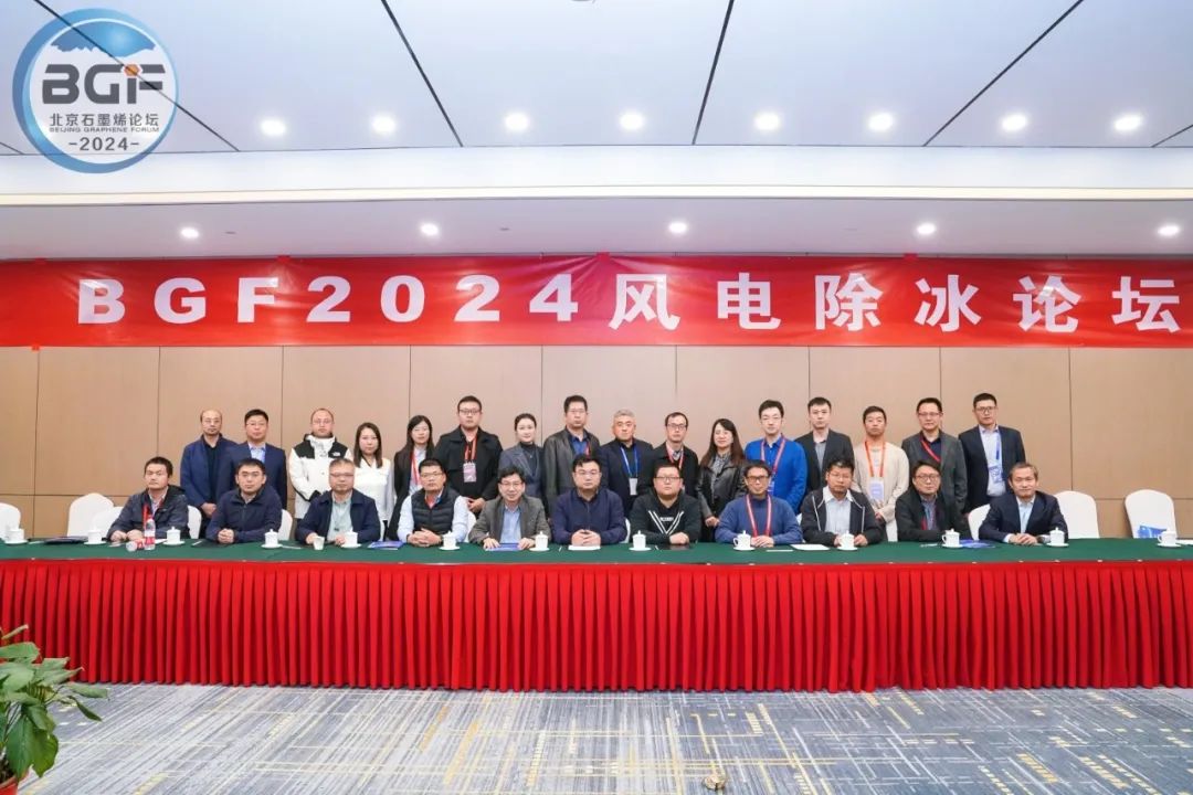 BGF2024！风电除冰分论坛：集行业力量，破除冰难题