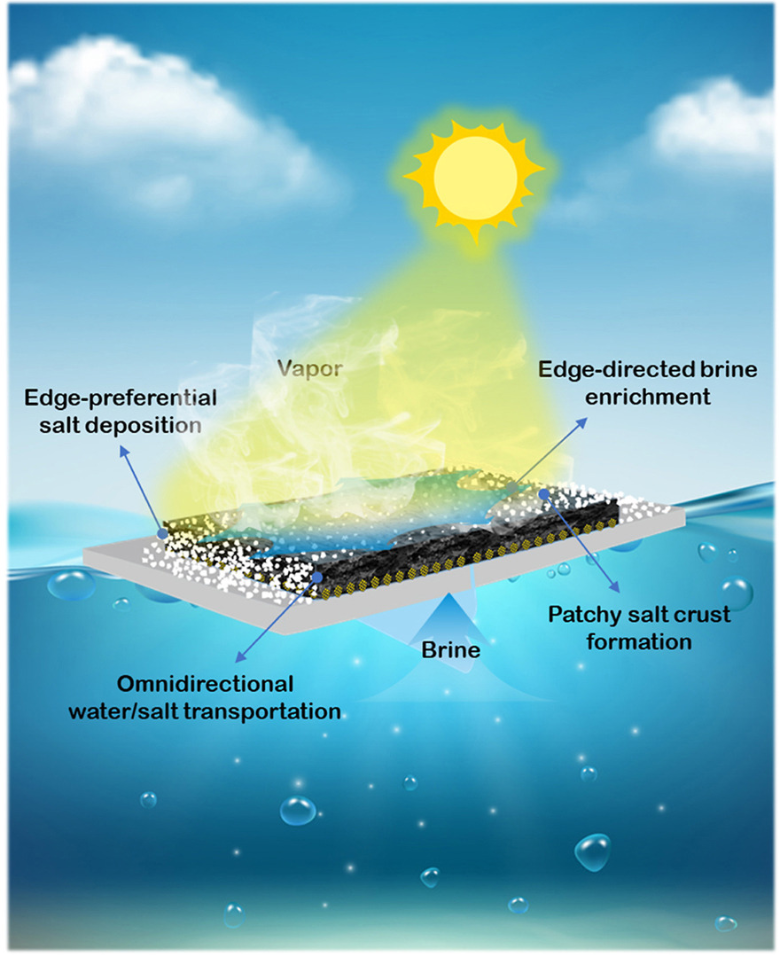 上海师范大学《Carbon》：石墨烯/PVA水凝胶织物，用于盐废水处理或工业盐结晶的太阳能蒸发器