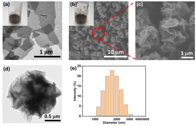 美国德州农工大学《Carbon》：3D N掺杂皱巴巴石墨烯气凝胶，用于热电能量收集和高灵敏度压阻式传感