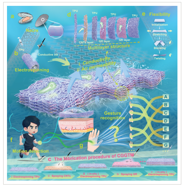 郑州大学《AFM》：受珍珠层启发，基于碳纳米管/石墨烯/TPU毡的多层柔性传感器，用于机器学习辅助手势识别