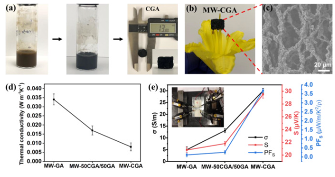 美国德州农工大学《Carbon》：3D N掺杂皱巴巴石墨烯气凝胶，用于热电能量收集和高灵敏度压阻式传感