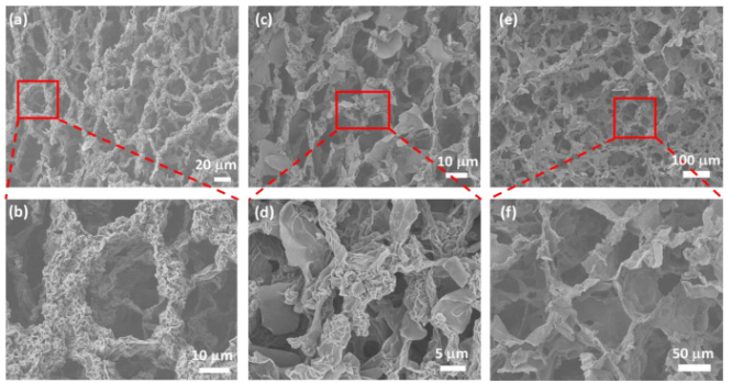 美国德州农工大学《Carbon》：3D N掺杂皱巴巴石墨烯气凝胶，用于热电能量收集和高灵敏度压阻式传感