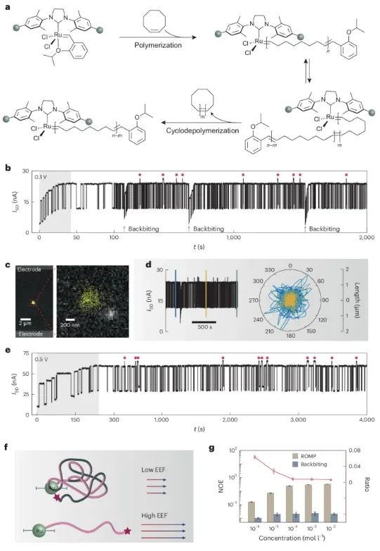 Nature Nanotechnology | 北京大学，科学家揭示石墨烯单分子电学检测平台在单催化剂中的创新应用！