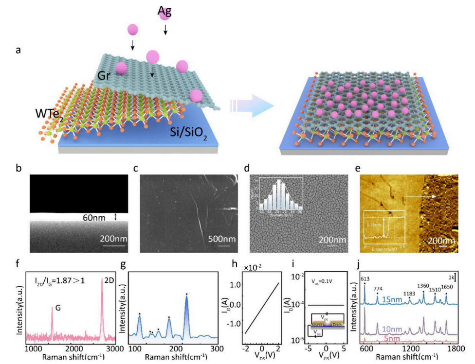 山东师范大学Nano Letters ：WTe2/石墨烯/银纳米颗粒异质结构的设计及其在表面增强拉曼光谱化学增强中的改善