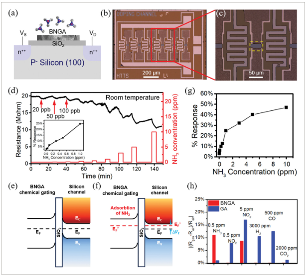 华中科技大学《AFM》：杂化h-BN/石墨烯气凝胶，用于超高灵敏度和选择性氨传感