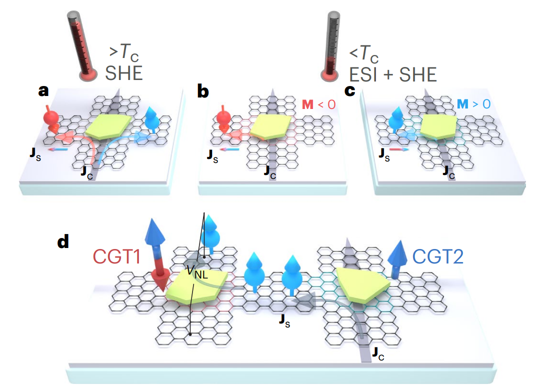 研究前沿：北京航空航天大学石墨烯自旋阀-Cr2Ge2Te6 | Nature Electronics