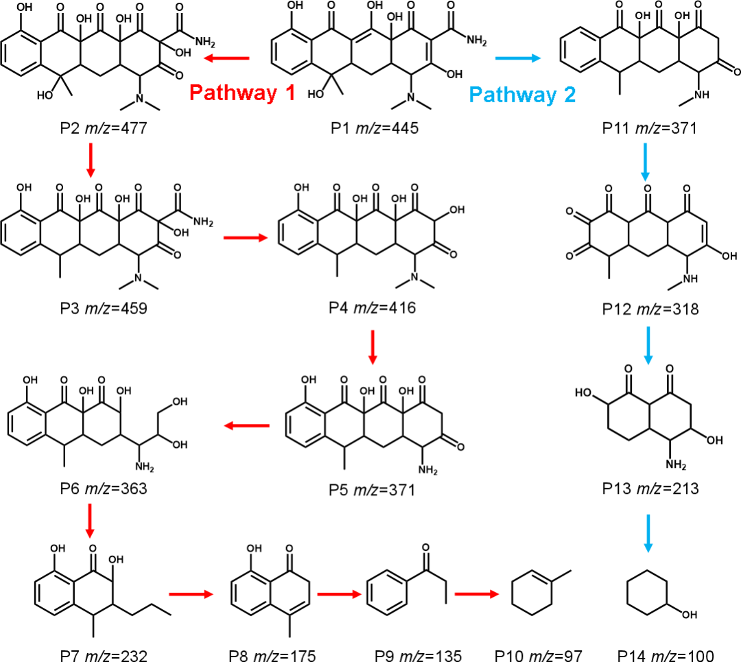 Rare Metals 江苏科技大学杨福：多孔石墨碳纤维中定制化FeCo纳米晶体降解高浓度四环素