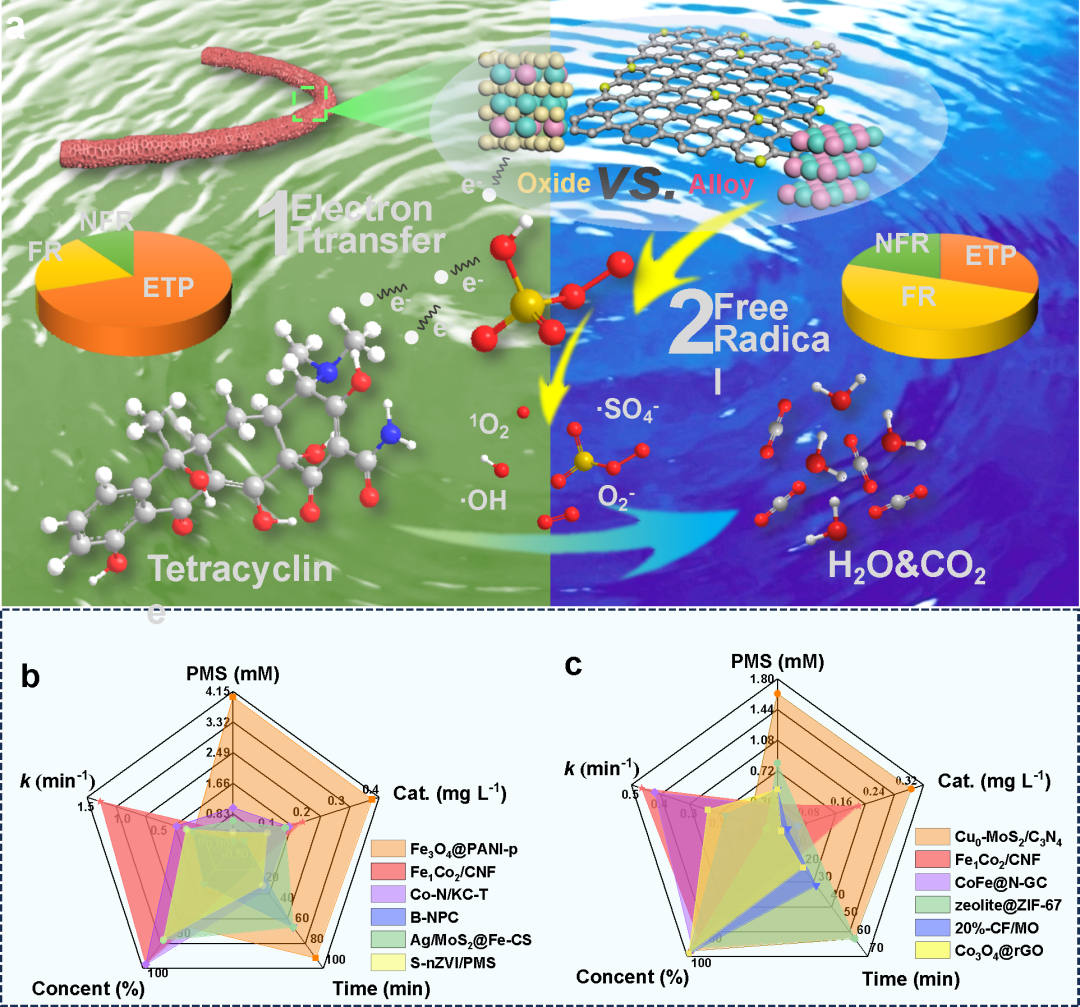 Rare Metals 江苏科技大学杨福：多孔石墨碳纤维中定制化FeCo纳米晶体降解高浓度四环素