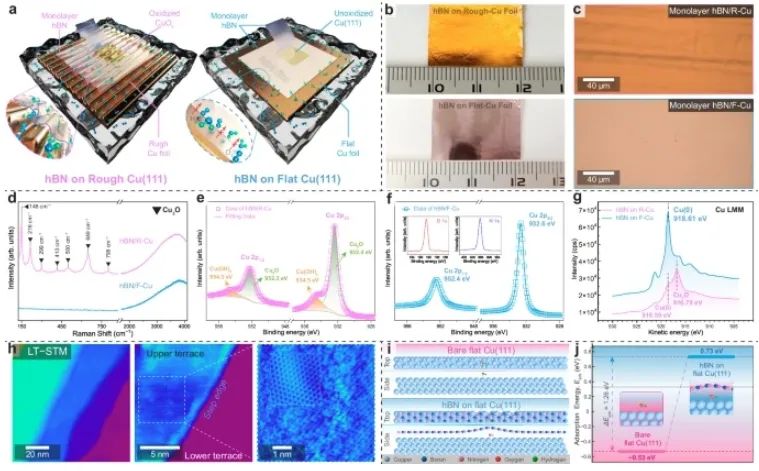 Nature Communications | 南洋理工大学：高质量Cu(111)薄膜上实现均匀的hBN和石墨烯层的生长！