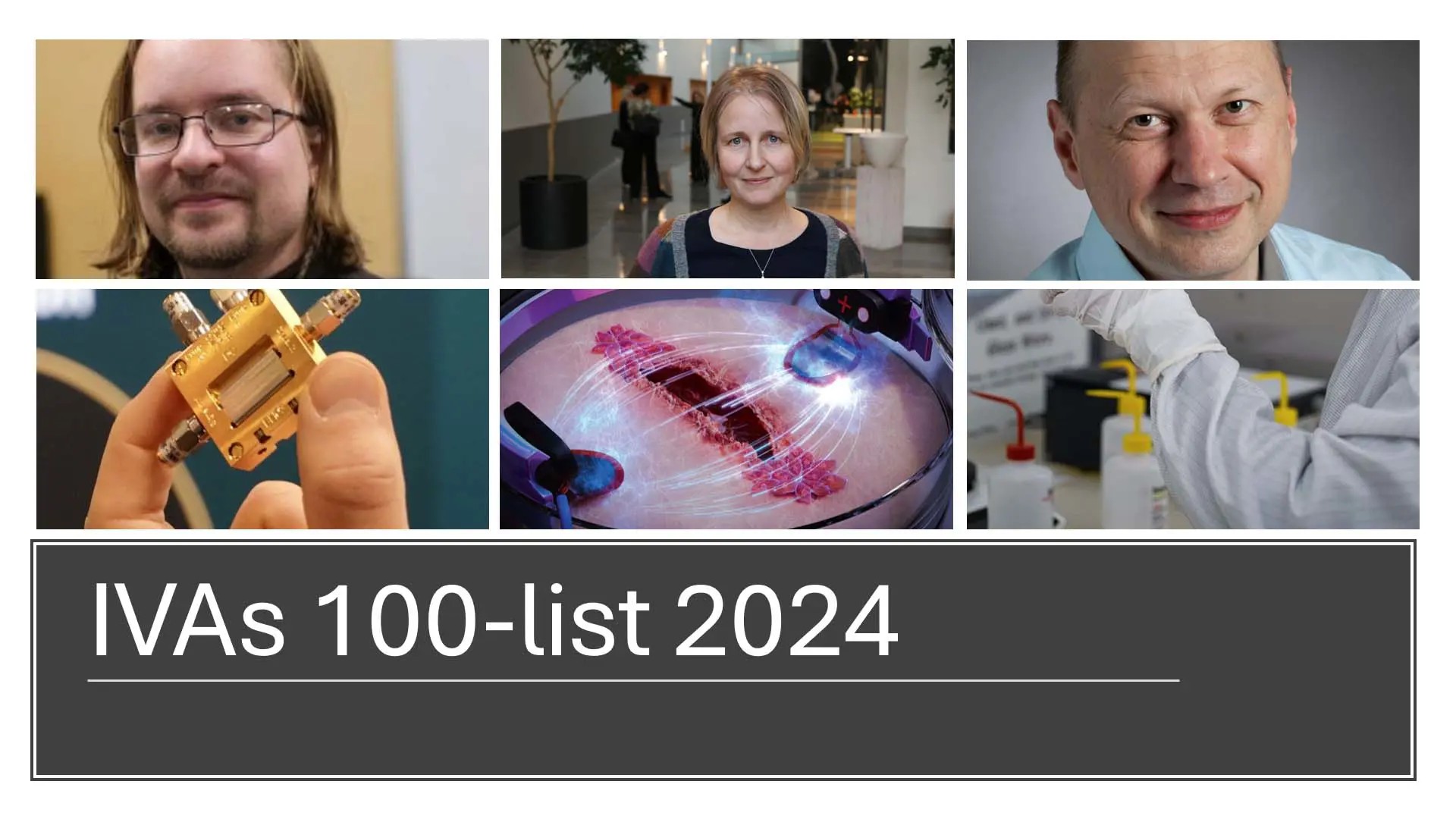 IVAs 100-list 2024 