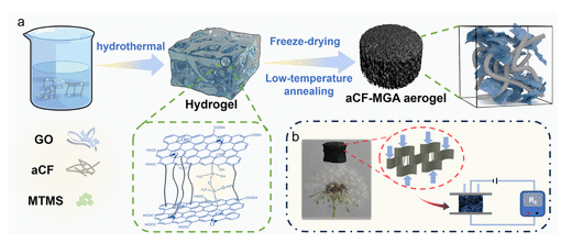 长春工业大学《ACS ANM》：碳纤维/MTMS/石墨烯复合气凝胶，用于可穿戴设备和改进人机交互等