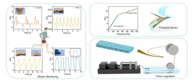 东华大学《Adv Fiber Mater》：基于密集结构石墨烯纤维的压力传感器，用于运动监测