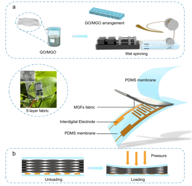 东华大学《Adv Fiber Mater》：基于密集结构石墨烯纤维的压力传感器，用于运动监测