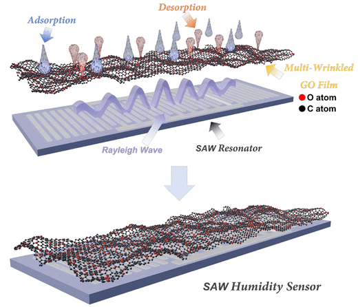 北理工《ACS Sens》：具有均匀多皱褶氧化石墨烯薄膜的高性能表面声波湿度传感器