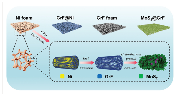 杭电《AMT》：MoS2@石墨烯泡沫复合材料，用于智能可穿戴电子产品