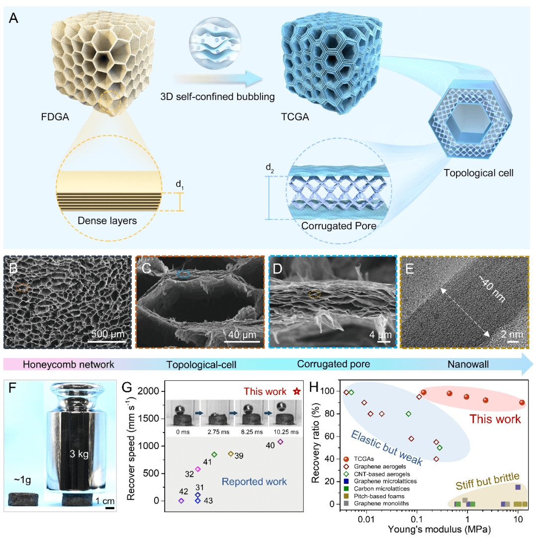 浙江大学高超教授团队AM：基于拓扑孔多层级结构设计的高刚度超弹性石墨烯气凝胶