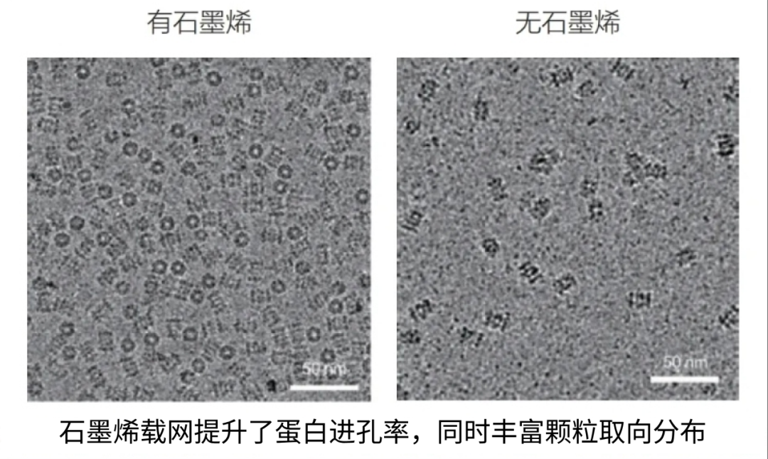 科普 | 石墨烯电镜载网：冷冻电镜里的生命“放映师”