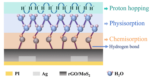 北京理工大学《ACS AMI》：基于rGO/MoS2的全柔性湿度传感器，用于可穿戴设备等