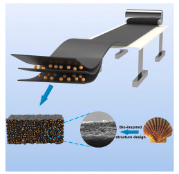 常州大学《JPS》：受扇贝启发！SPAN/石墨烯阴极，用于高性能锂硫电池