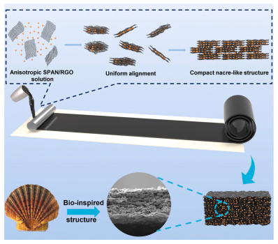 常州大学《JPS》：受扇贝启发！SPAN/石墨烯阴极，用于高性能锂硫电池