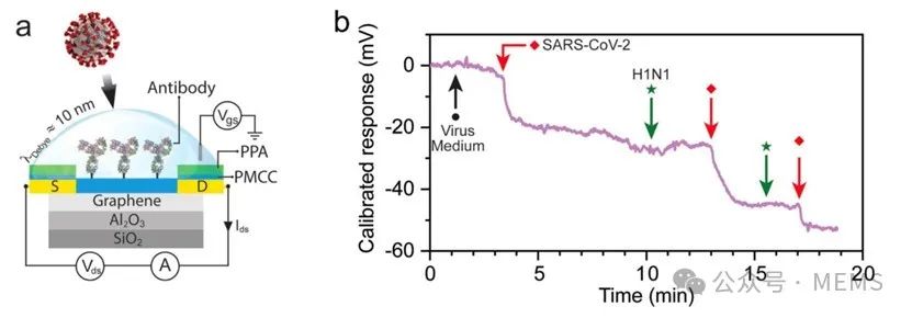 基于tSPL技术的FET生物传感器，实现多种病原体同时检测