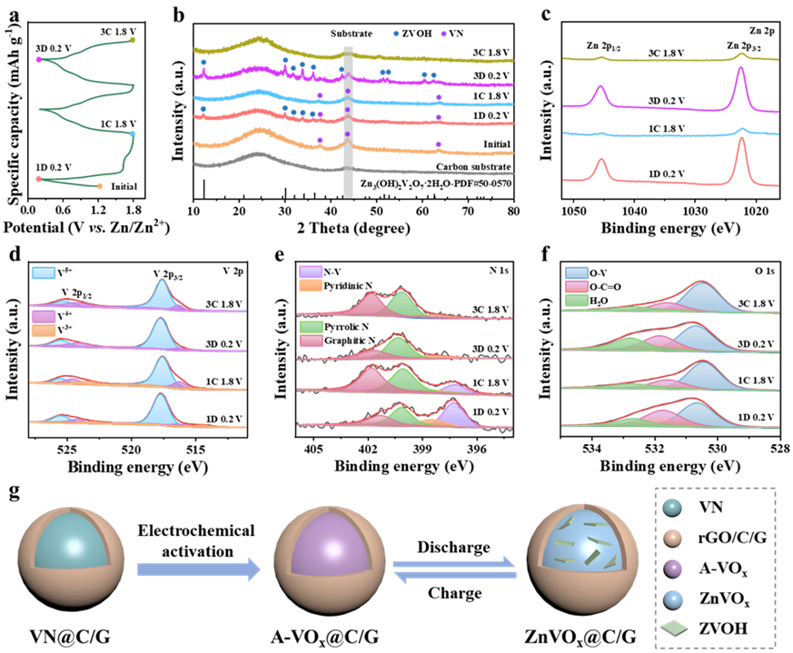 『水系锌电』南工大孙庚志/兰大周金元AFM：非晶氧化钒/氮掺杂碳壳/石墨烯异质结构助力高性能水系锌离子电池