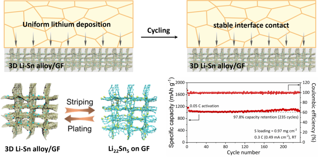 大连化物所-吴忠帅＆中科大-余彦︱EnSM：大面积无枝晶超薄富锂三维Li-Sn合金/石墨烯箔负极用于高性能全固态锂硫电池