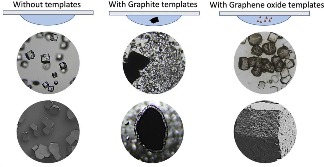 PARTICUOLOGY精选 | 英国拉夫堡大学杨怀宇教授团队：石墨和氧化石墨烯模版在蛋白质结晶过程中的促进和阻碍作用