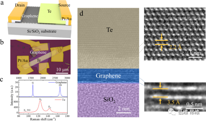 ACS Photonics：基于2D Te/石墨烯范德华异质结的室温黑体敏感且快速的红外光电探测器