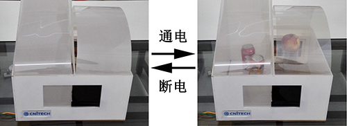 宁波材料所千米级石墨烯薄膜亮相2015中国（宁波）国际新材料科技及产业博览会